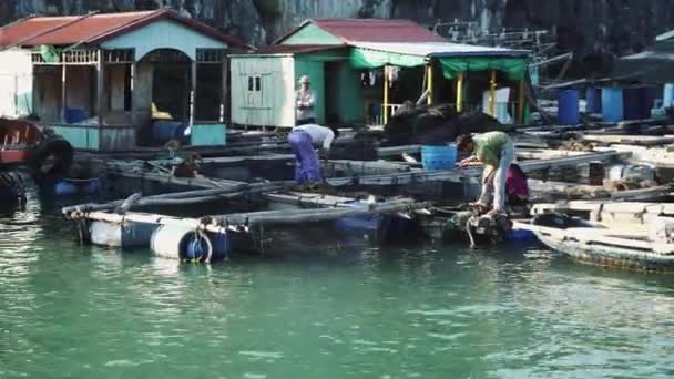 Drijvend vissersdorp in de Ha Long Bay. Cat Ba Island, Vietnam. — Stockvideo