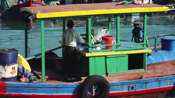 Halong Körfezi 'ndeki küçük tekneler. Kedi Ba. Vietnam — Stok video