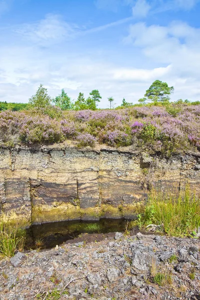 Irish Peat Bog Landscape Ireland Europe — Stock Photo, Image