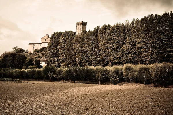 Ciudadela Medieval Vicopisano Italia Toscana Pisa Imagen Tónica —  Fotos de Stock