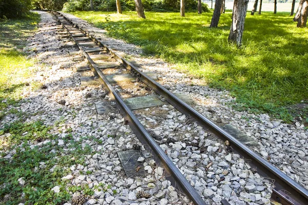 Dettaglio Piccolo Tram Parco Urbano Vienna Austria — Foto Stock