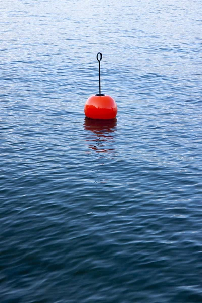 Красный Буй Спокойном Озере Изолированном Голубой Заросли — стоковое фото