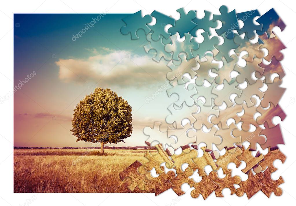 Isolated tree in a tuscany rural scene (Italy) - environmental conservation concept image in jigsaw puzzle shap