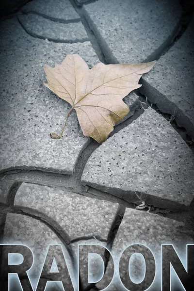 Dangerous Radon Concept Image Isolated Dry Leaf Background Concept Image — Stock Photo, Image