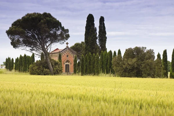 Petite Église Rurale Toscane Paysage Italie — Photo