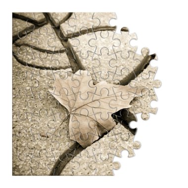 Isolated dry leaf on the ground - concept image in puzzle shape clipart