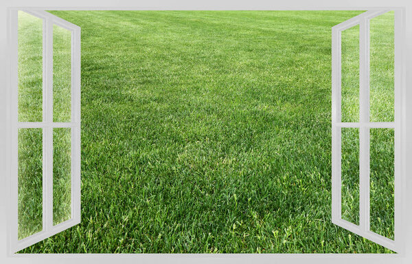 Detail of a green lawn view from the window - concept image