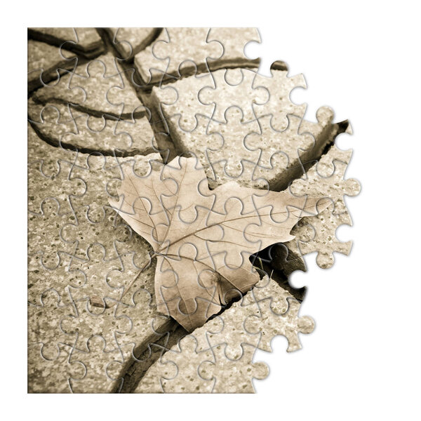 Isolated dry leaf on the ground - concept image in puzzle shape