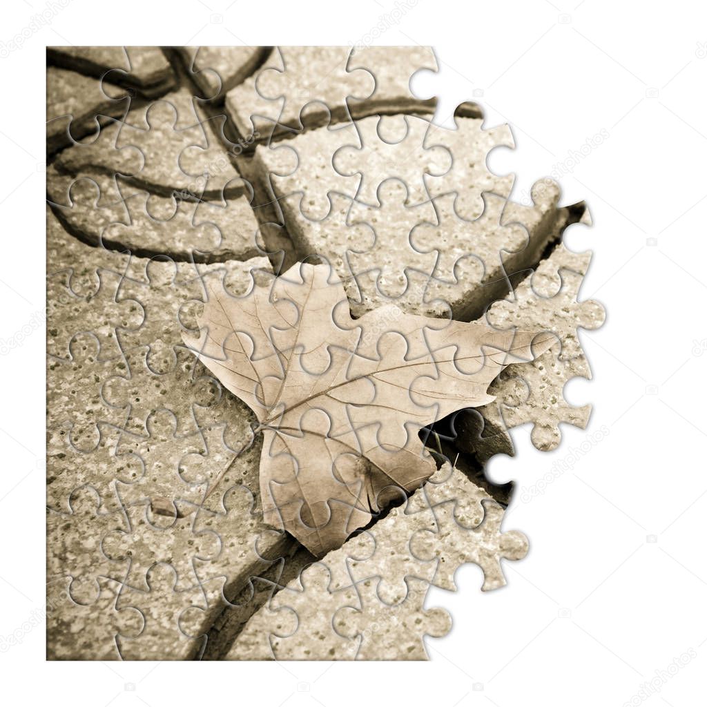 Isolated dry leaf on the ground - concept image in puzzle shape