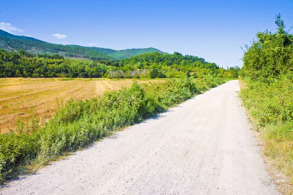 Tipical Tuscany Country Road Called White Road Italy — Stock Photo, Image