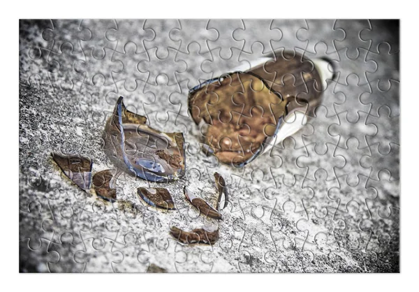 Puzzle of a broken bottle of beer resting on the ground - Free themselves from alcohol addiction - concept image - Toned image