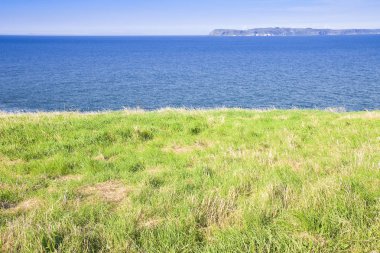 Kuzey İrlandalı ön planda otlatma ile manzara