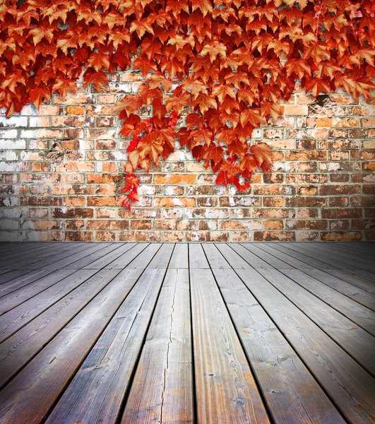 Pavimenti Legno Con Muro Mattoni Sfondo Ricoperto Edera Rossa — Foto Stock