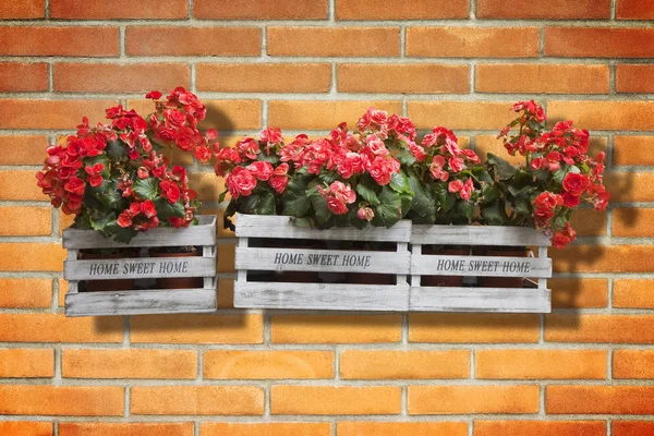 Wooden flowers boxes against an old brick wall - Home sweet home written on wooden box