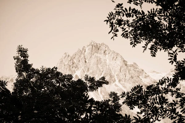 Wandern Rund Den Silser See Oberengadin Schweiz — Stockfoto