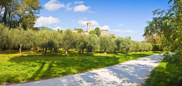 Panoramatické Fotografie Slavné Středověké Citadely Vicopisano Itálie Toskánsko Pisa — Stock fotografie