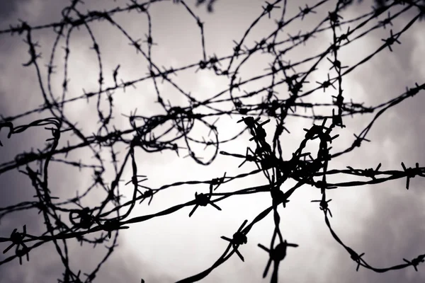 Barbed Wire Fence Concept Image — Stock Photo, Image