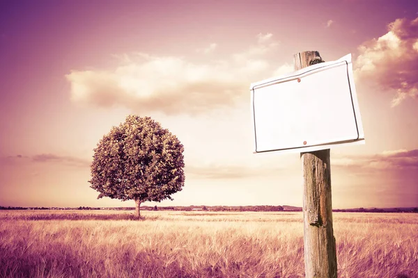 Hölzerne Hinweisschild Gegen Ein Weizenfeld Auf Dem Land Mit Baum — Stockfoto