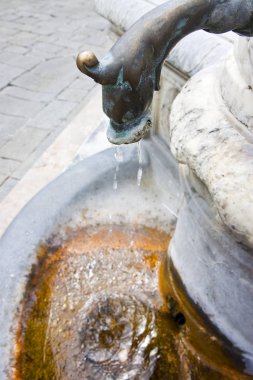 İtalyan Antik pirinç çeşme ile ejderha başlı kopya alanı ile