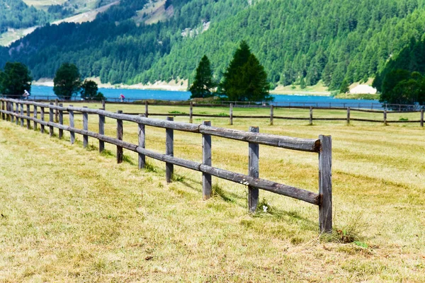 Sils Meer Vallei Van Het Oberengadin Graubünden Zwitserland Het Ontleent — Stockfoto