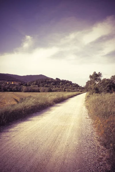 Pathway Tuscany Countryside Italy Toned Image — Stock Photo, Image