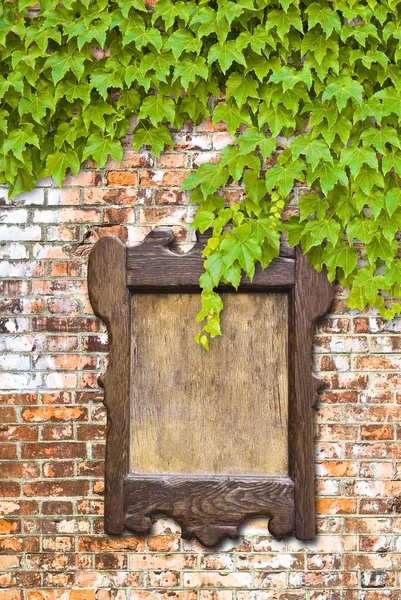 Wooden Notice Board Brick Wall Covered Ivy — Stock Photo, Image