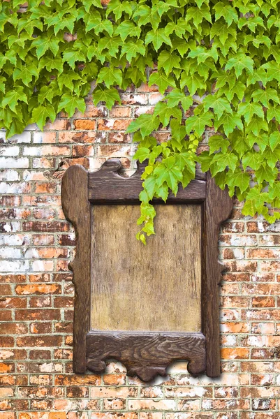 Houten Prikbord Tegen Een Bakstenen Muur Bedekt Met Klimop — Stockfoto