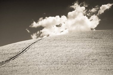 Sepya tonlu bir bulutlu gökyüzü karşı tipik Toskana hill