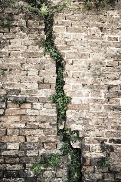 Тріщини цегляної стіни — стокове фото