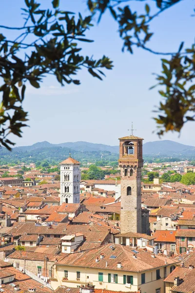 Panoramatický pohled Lucca vidět z Guinigi tower — Stock fotografie