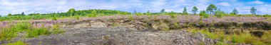 Irish peat bog landscape - (Ireland - Europe) clipart