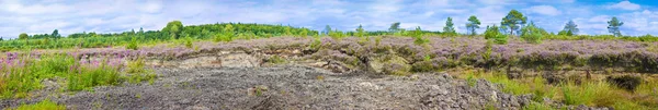Irish peat bog landscape - (Ireland - Europe) — Stock Photo, Image