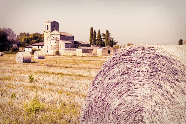 Buğday bir alanla çevrili tipik Tuscany Romanesk kilise — Stok fotoğraf