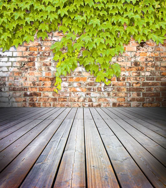 Pisos de madeira com parede de tijolo no fundo coberto com verde — Fotografia de Stock