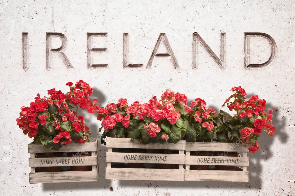 Wooden flowers boxes against an old stone wall with the word 