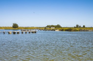 Comacchio vadilerde yılan balığı Balık tutma - Unes dünya çapında bilinir