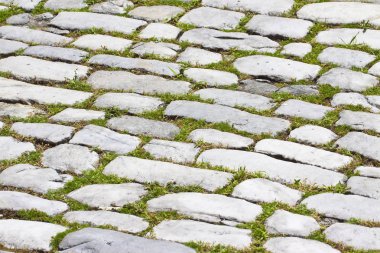 Tipik İtalyan parke ile beyaz mermer taştan