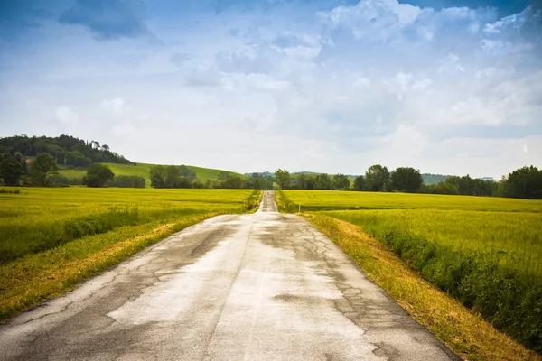 Tipical country road in Tuscany countryside called "white road" — Stock Photo, Image