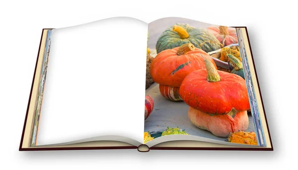 Kabak yemek kitabı ile pişirmek öğrenin - 3d render kavram görüntü o — Stok fotoğraf