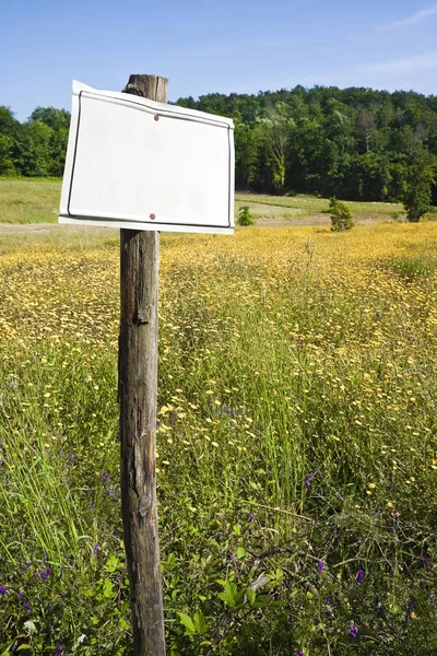 Trästolpe på ett grönt fält med blank skylt - bild — Stockfoto