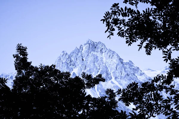 Sils Gölü çevresinde yürüyüş-Engadine Vadisi-Grisons, Avusturya — Stok fotoğraf