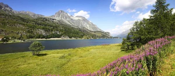 Τοπίο γύρω από τη λίμνη Λέγκικον στην άνω κοιλάδα της Ενδίνης (Ελβετία — Φωτογραφία Αρχείου