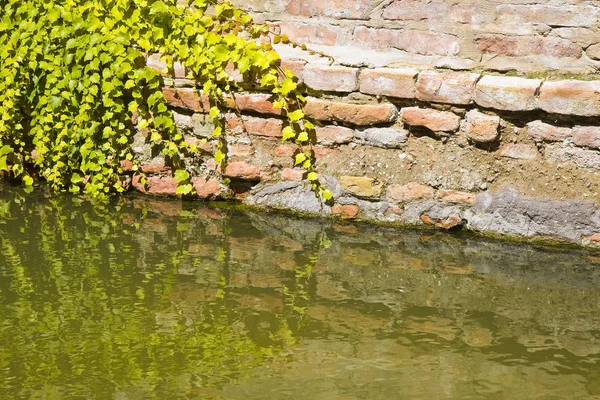 Подъем влаги на кирпичной стене в канале, полном воды — стоковое фото