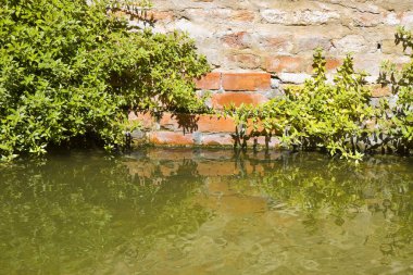 Su dolu bir kanalda, tuğla bir duvarda yükselen rutubet.