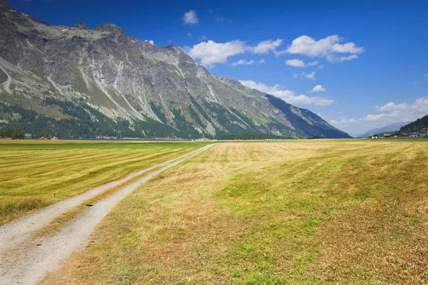 Promenade autour du lac de Sils — Photo