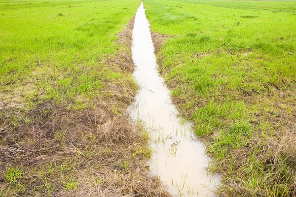 Voller Wassergraben auf einem Feld nach sintflutartigem Regen — Stockfoto