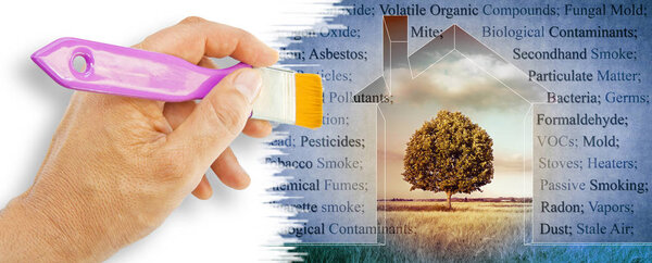 The most common dangerous domestic pollutants we can find in our