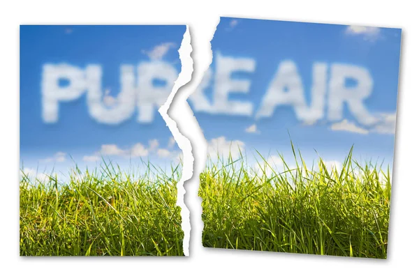 Tiszta levegő koncepció kép ellen egy zöld vadon élő fű a sky-backgro — Stock Fotó