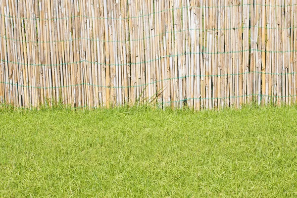 Detalj av en vacker grön klippas gräs matta med lathwork — Stockfoto