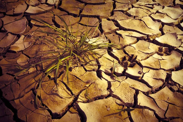 Terra infértil queimada pelo sol: fome e pobreza conceito ima — Fotografia de Stock